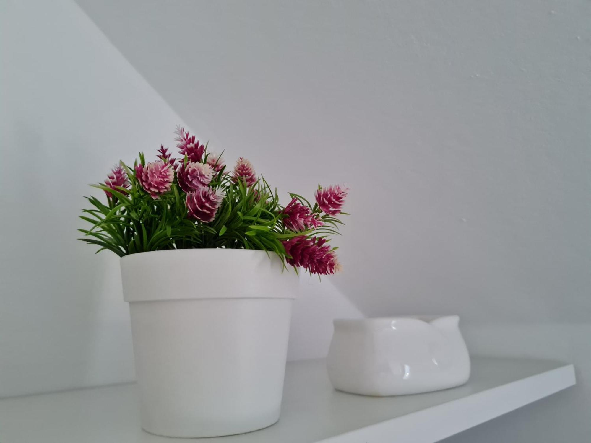 Apartment Naturalis Flumen Otocac